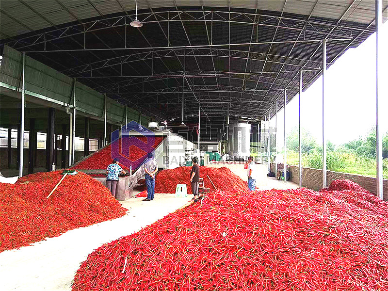 依托網(wǎng)帶辣椒烘干機(jī)技術(shù)，新疆企業(yè)以優(yōu)質(zhì)香菇產(chǎn)品贏取市場(chǎng)口碑與信賴！